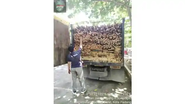 gakkum-klhk-ilegal-logging.jpg