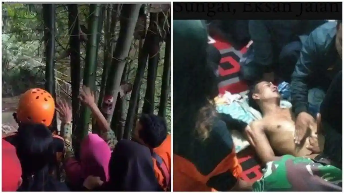 Misteri Dibalik Hilang Pria di Hutan Bambu, Cuma Ibunya yang Lihat, Basarnas: Logikanya Gak Mungkin