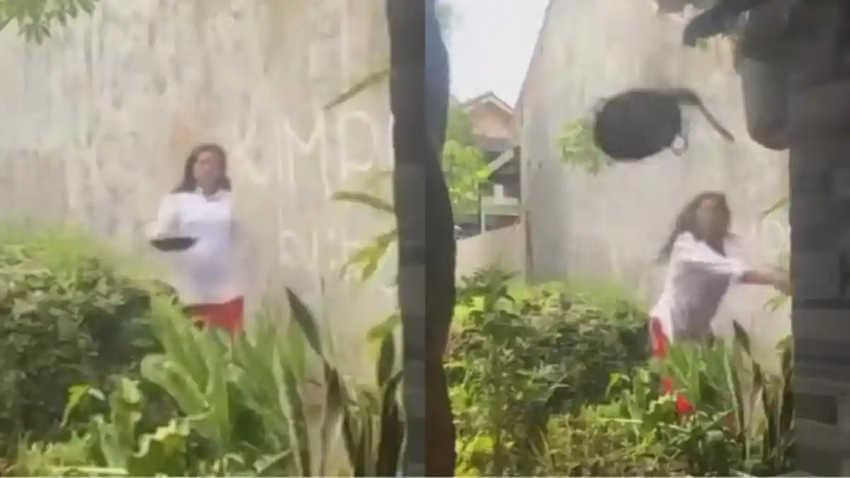 Viral Wanita Lempari Rumah Tetangganya Pakai Wajan, Pelaku Ternyata Sudah Sering Beraksi