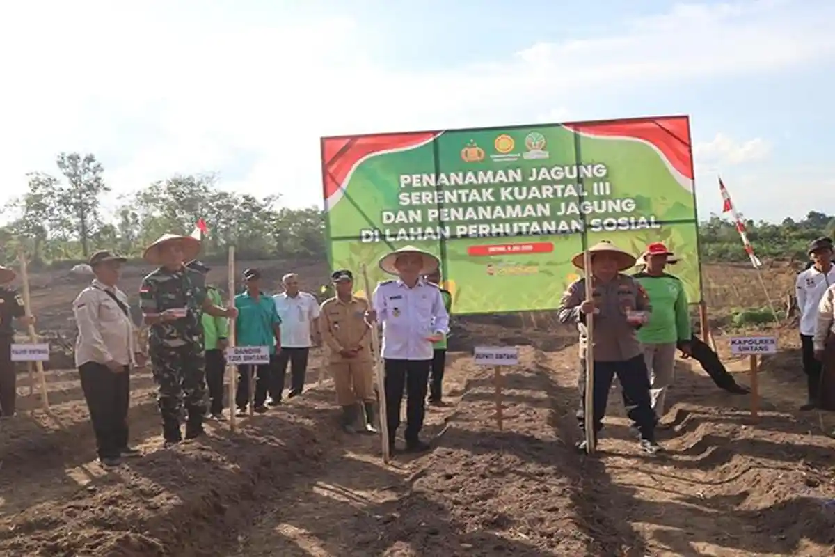 Polres Sintang Tanam Jagung Kuartal III Serentak di Desa Gurung Kempadik