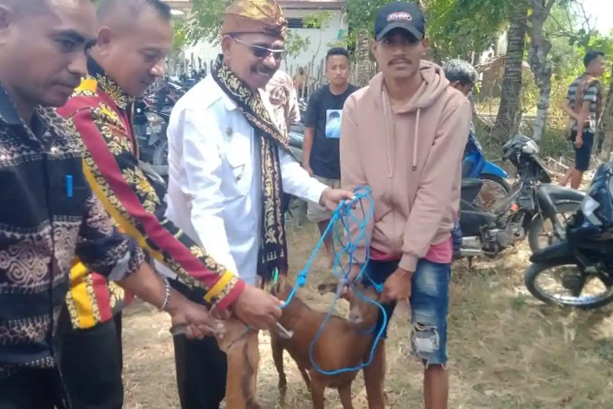 Bupati Sabu Raijua Beri Bantuan 81 Ternak Bagi Masyarakat Desa Molie