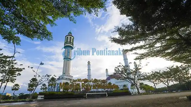 Tribun