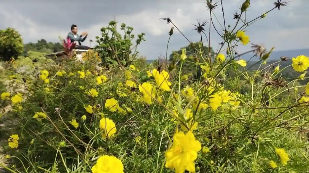 WISATA BLORA : Melihat Panorama Alam dan Hutan Blora Di WDB Garden Desa Soko