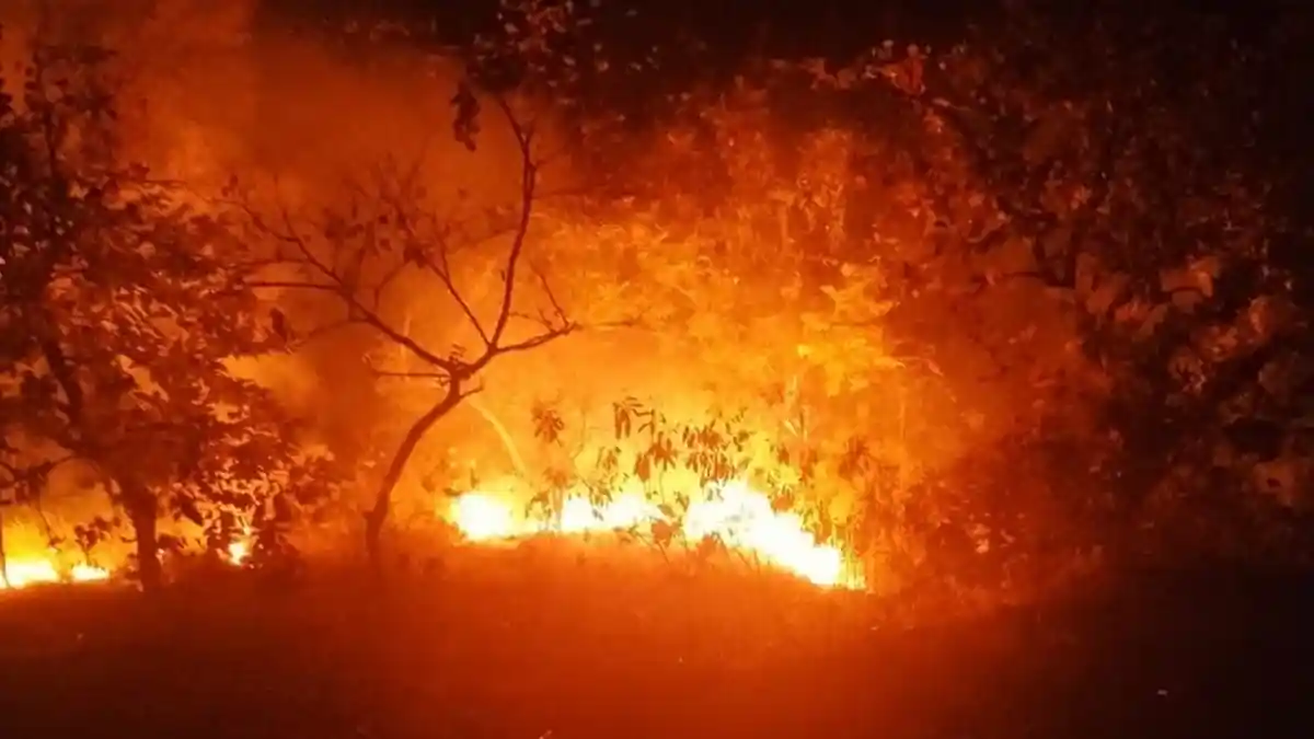 Lagi, Kebakaran Lahan Terjadi di Lhokseumawe, Pemadaman Dilakukan Secara Manual Gara-gara Ini