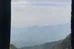 Sepasang Elang Jawa Dilepasliarkan di Gunung Salak, Diberinama Satria dan Srikandi