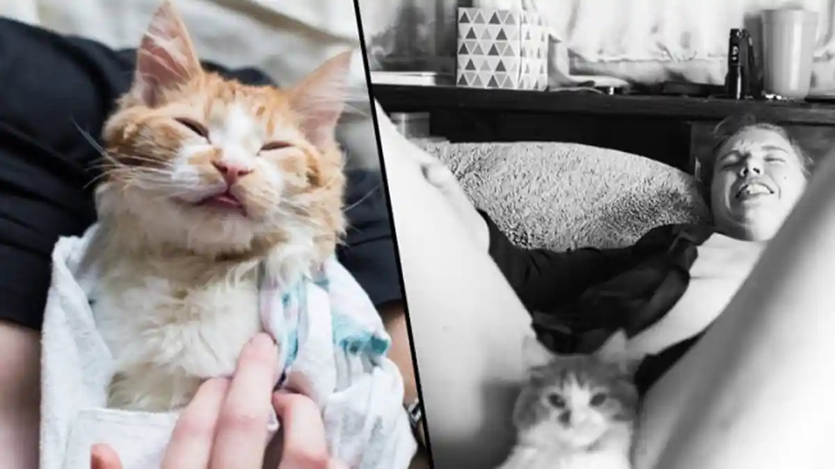 Pasangan Ini Lakukan Photoshoot Usai 'Lahirkan' Anak Kucing, Menuai Pro Kontra tapi Ada Tujuan Mulia