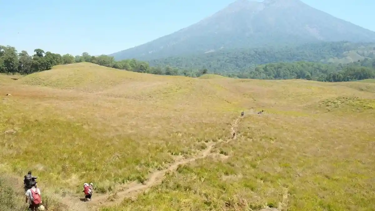 Hidden Gem Savana Propok Lombok Timur NTB Mulai Dibuka, Tawarkan Panorama Lebih Eksotis