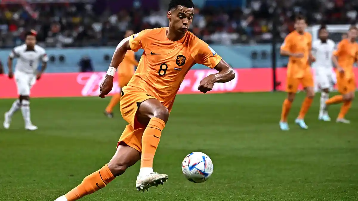 Cody Gakpo Siap Bermain di Lima Posisi Berbeda di Timnas Belanda, Begini Kata Gakpo