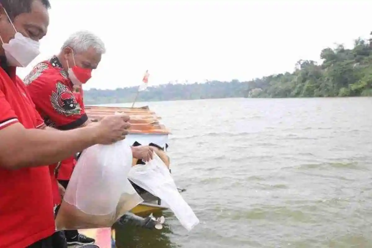Cegah Stunting, Ganjar Bareng Kader PDIP Tebar Berbagai Jenis Benih Ikan di Waduk Jatibarang