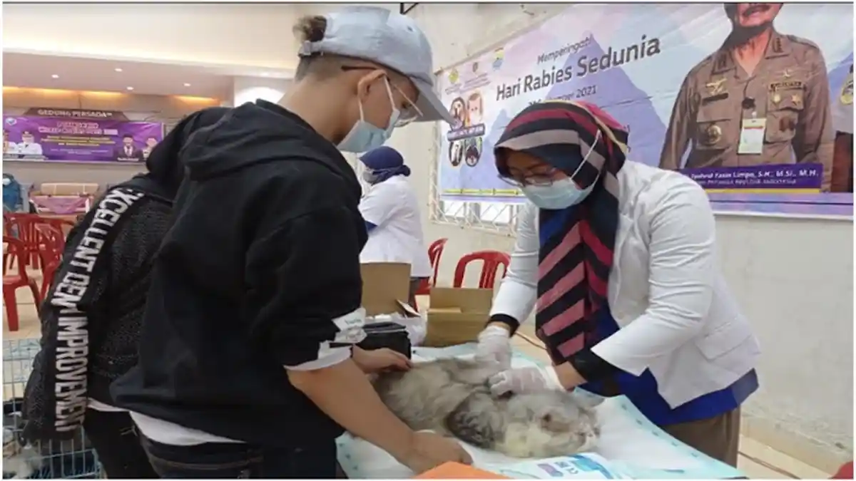 Pemkot Palembang Layani Vaksin Rabies Gratis, Bisa Dipanggil ke Rumah, Ini Cara dan Syaratnya