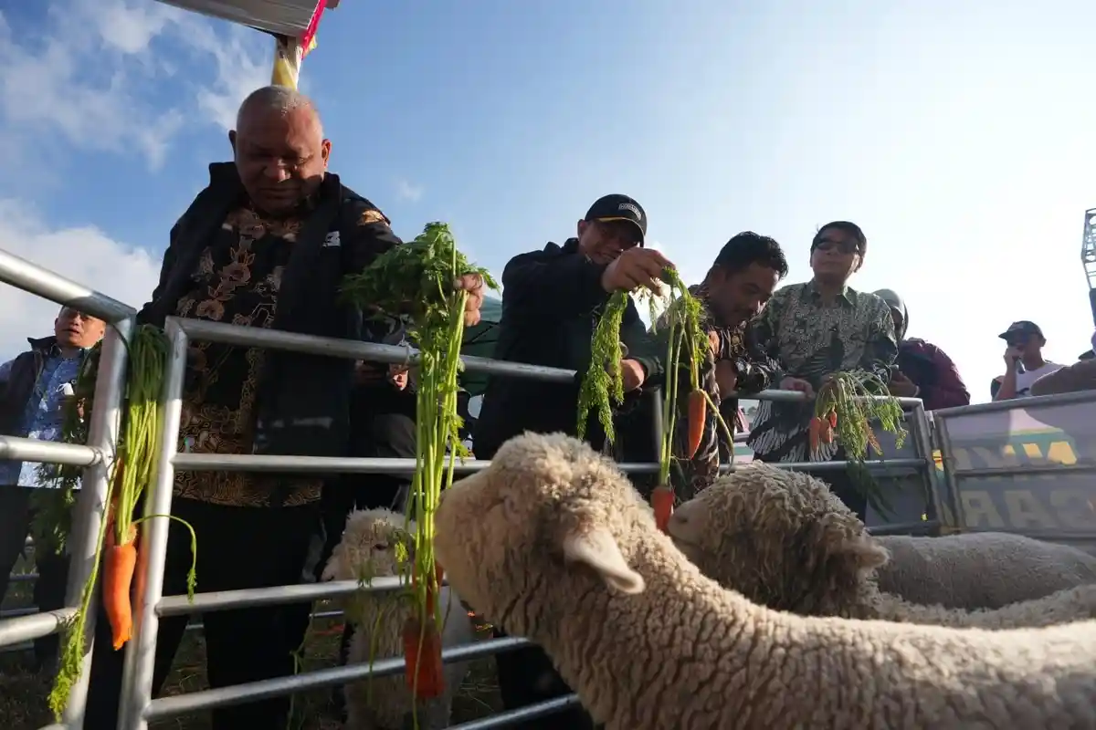 Upland Project Kementerian Pertanian Diharapkan Dapat Berlanjut dan Dirasakan Petani Lebih Luas