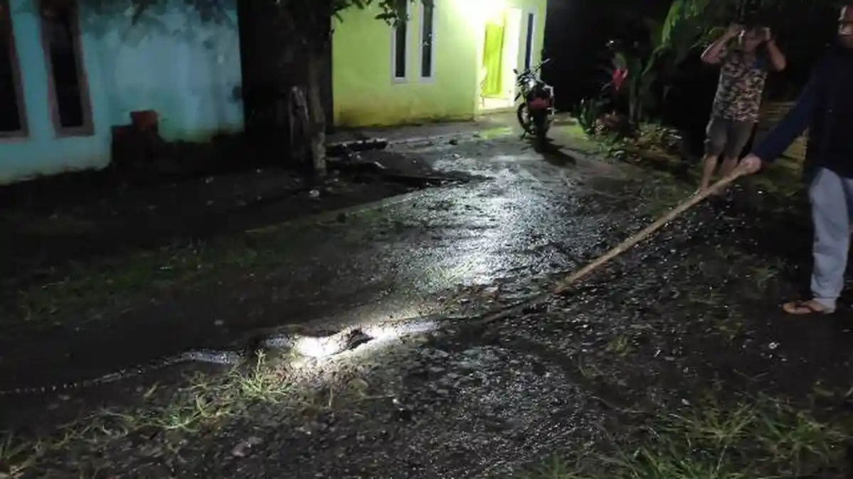Fajarudin Warga Lubuklinggau Ketakutan, Lindas Ular Sanca 2 Meter di Jalan, Dikira Kayu