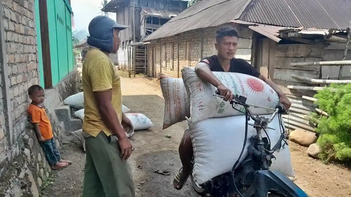 Harga Kopi di OKU Selatan Sumsel Naik, Per Kilogram Tembus Rp 39.000