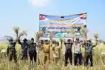 panen-padi-protani-protangguh-kabupaten-pekalongan.jpg