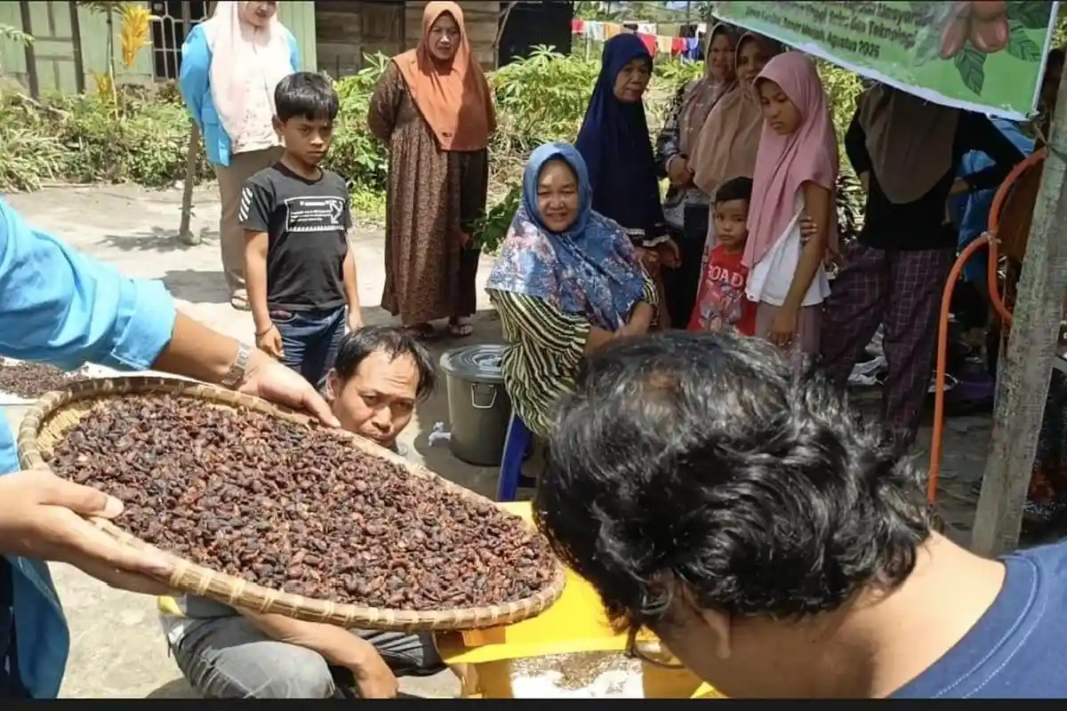 Terobosan Baru Dosen Unsam Langsa, Olah Limbah Kopi Petani di Bener Meriah Jadi Bernilai Ekonomis