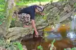 menyambut-suro-di-tuban.jpg
