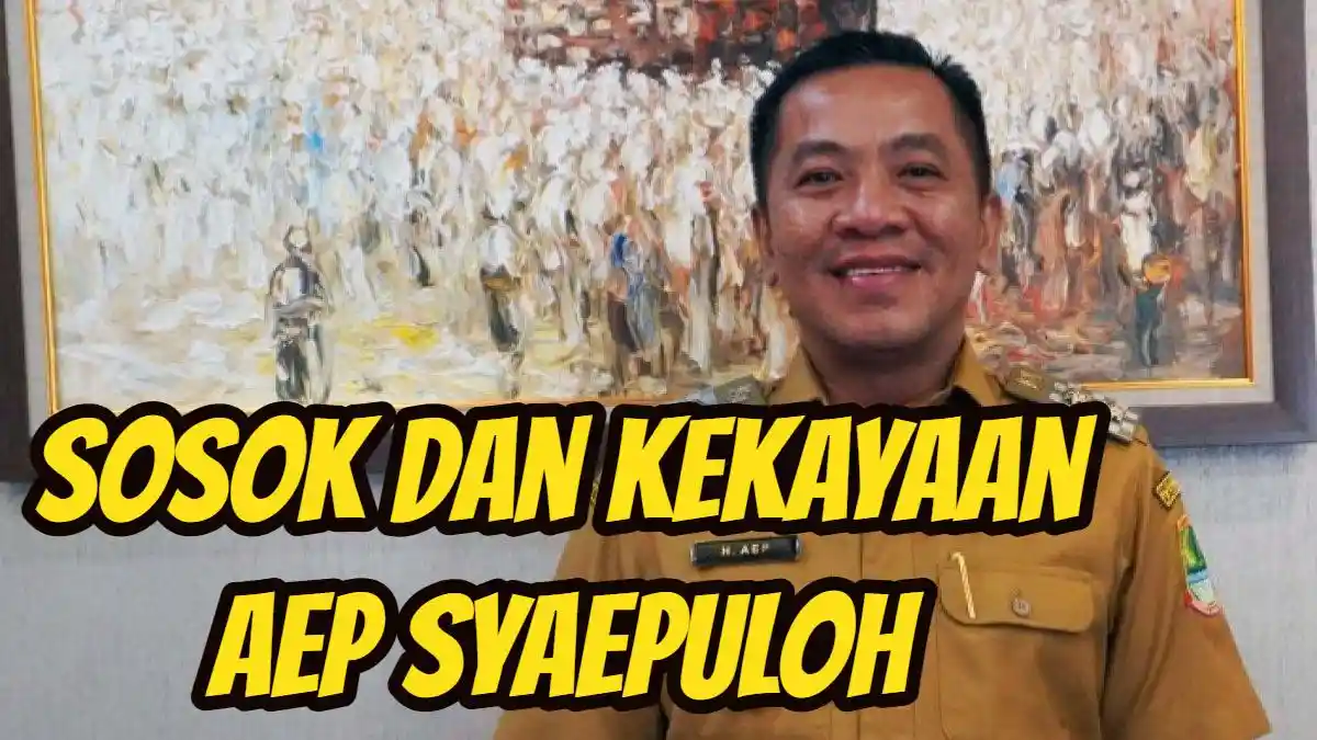 Sosok dan Harta Aep Syaepuloh Bupati Karawang yang Dilantik Prabowo, Punya 217 Unit Aset Properti