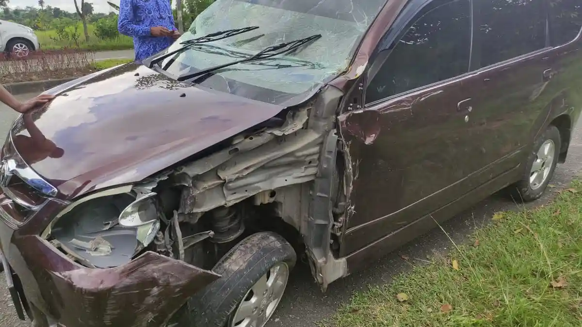 Mobil Staf Disdikbud Bontang Tabrak Pohon dan Tiang Listrik hingga Ringsek, Begini Kondisi Pengemudi