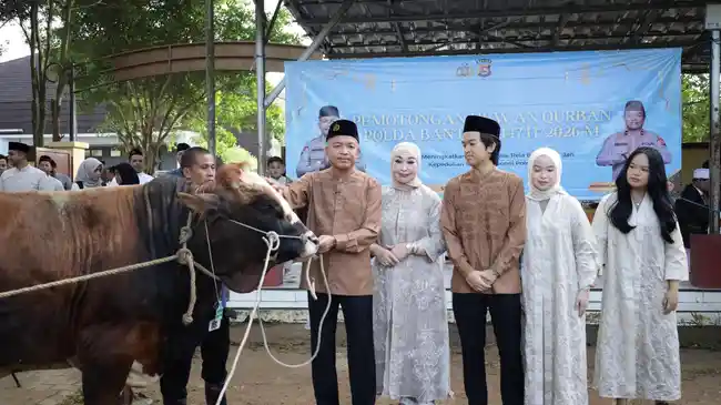 Tribun