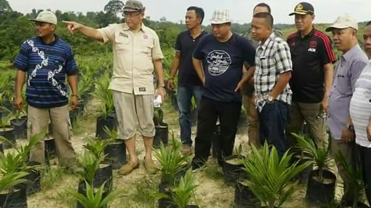 Optimalkan Program Cetak Sawah Baru, Cara Cek Endra Tambah Lahan Pertanian