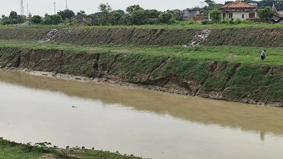 Begini Kondisi Tanggul Kali Bodri Kendal yang Terkikis Usai Diguyur Hujan