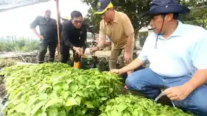 Pusat-saat-melakukan-kunjungan-terhadap-kebun-Program-Wartawan-Menanam.jpg