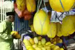 Timun Suri, Buah Khas Bulan Ramadan
