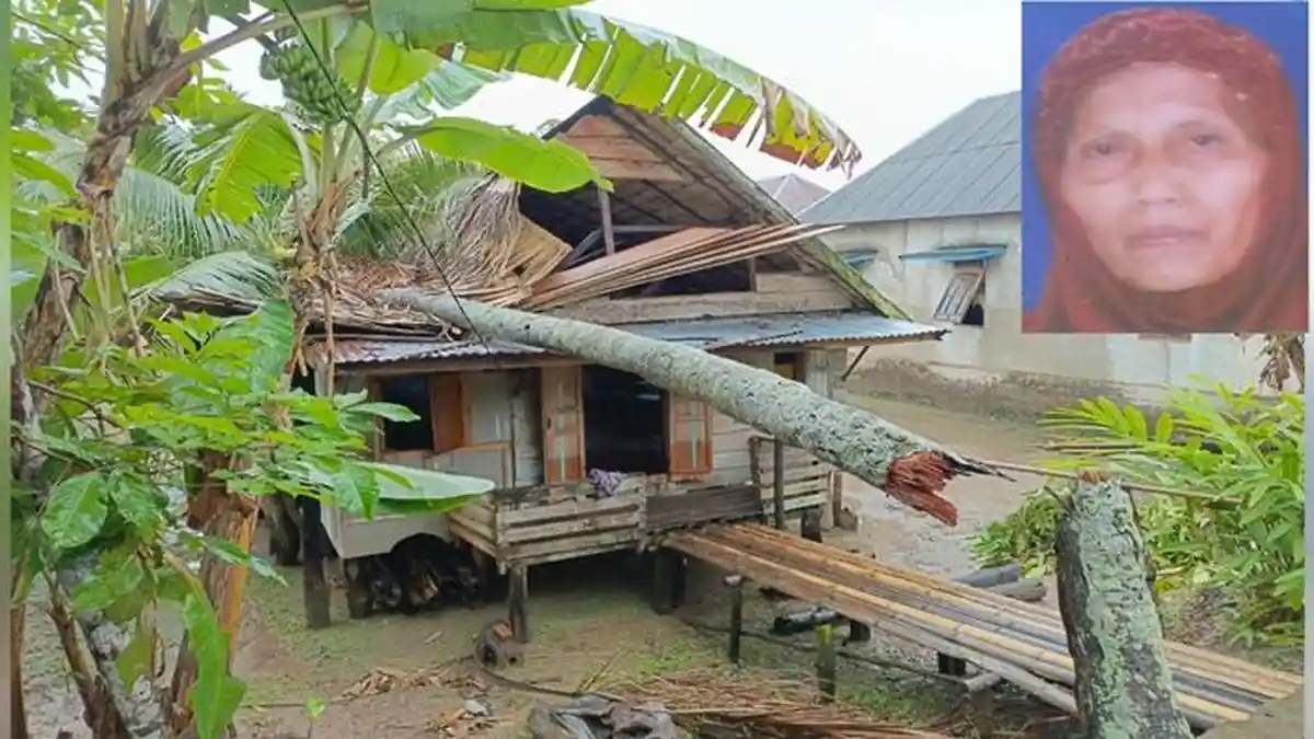 Pohon Kelapa Tumbang Timpa Rumah Janda Lansia di Pemulutan Barat