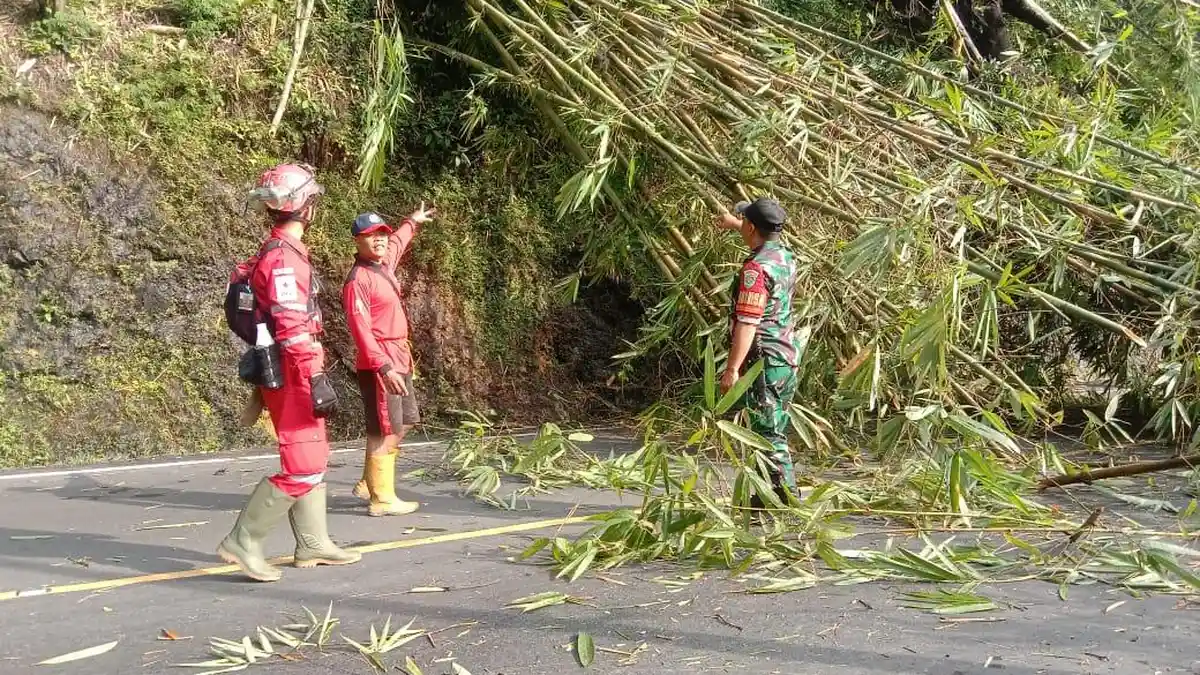 Pohon Enau dan Bambu Roboh di Cigendel Sumedang, Arus Lalu Lintas Sempat Terganggu