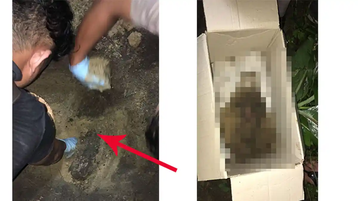 Usai Keluarkan Janin Sendiri, Gadis yang Aborsi di Kamar Mandi Temui Pacarnya Serahkan Sesuatu