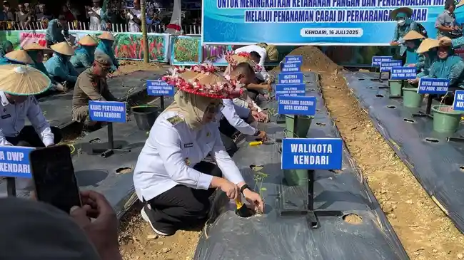Tribun