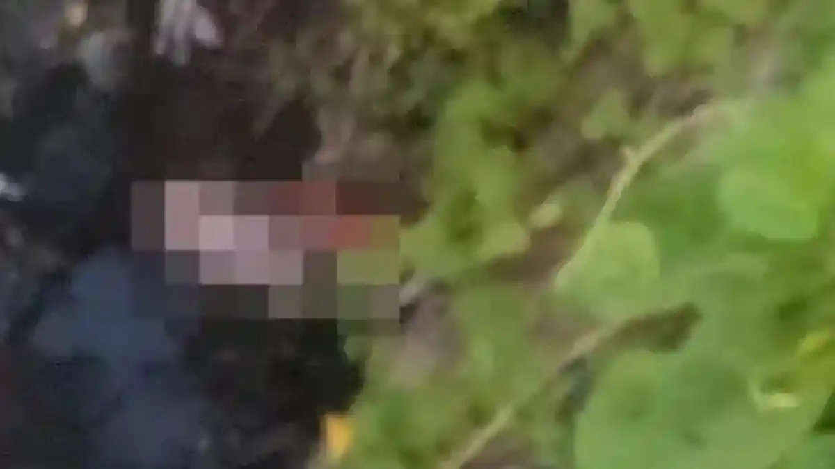 Jasad Bayi Ditemukan Terombang-ambing di Atas Kasur Hanyut di Sungai