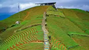terasering-panyaweuyan_6.jpg