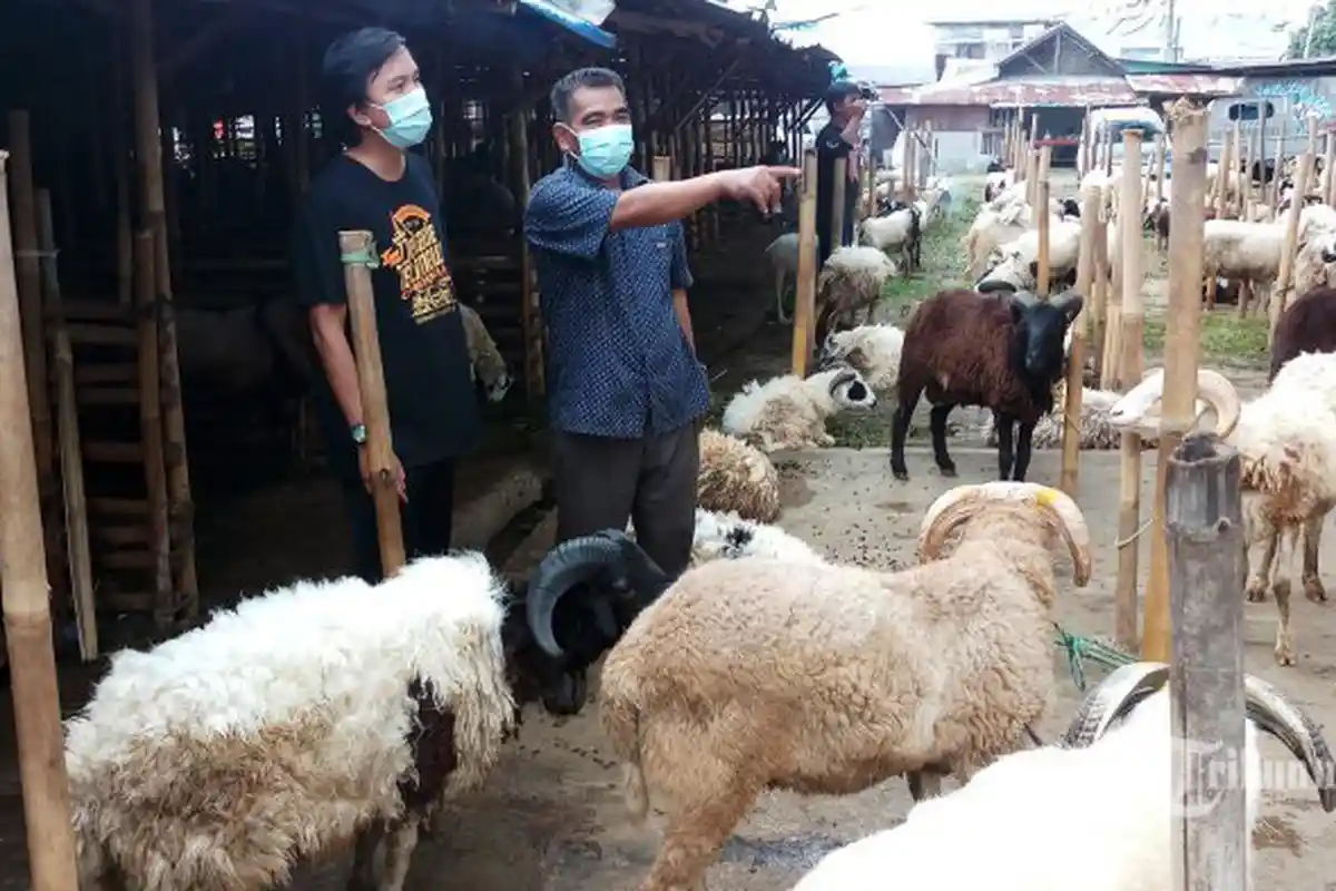 Idul Adha 2021, Doa Menyembelih Hewan Kurban Idul Adha dan Tata Cara Memotong Hewan Kurban