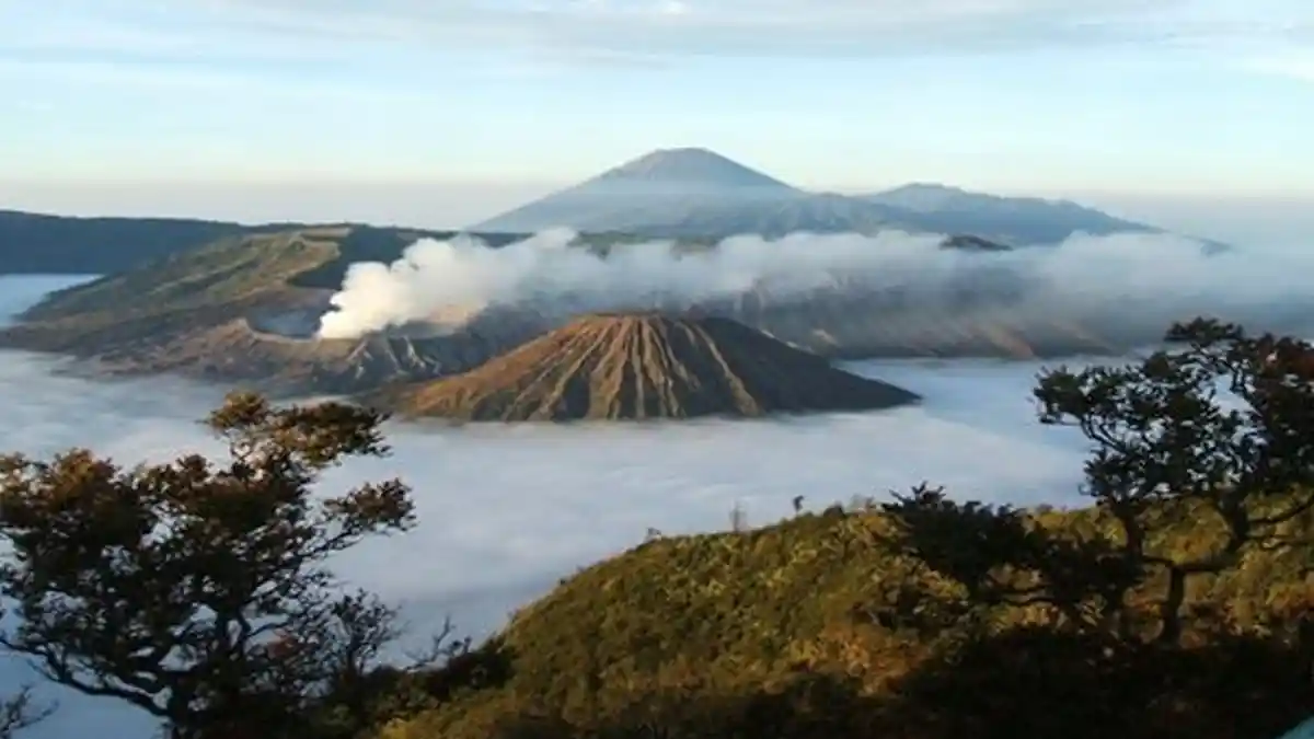 Tips Memilih Agen Travel