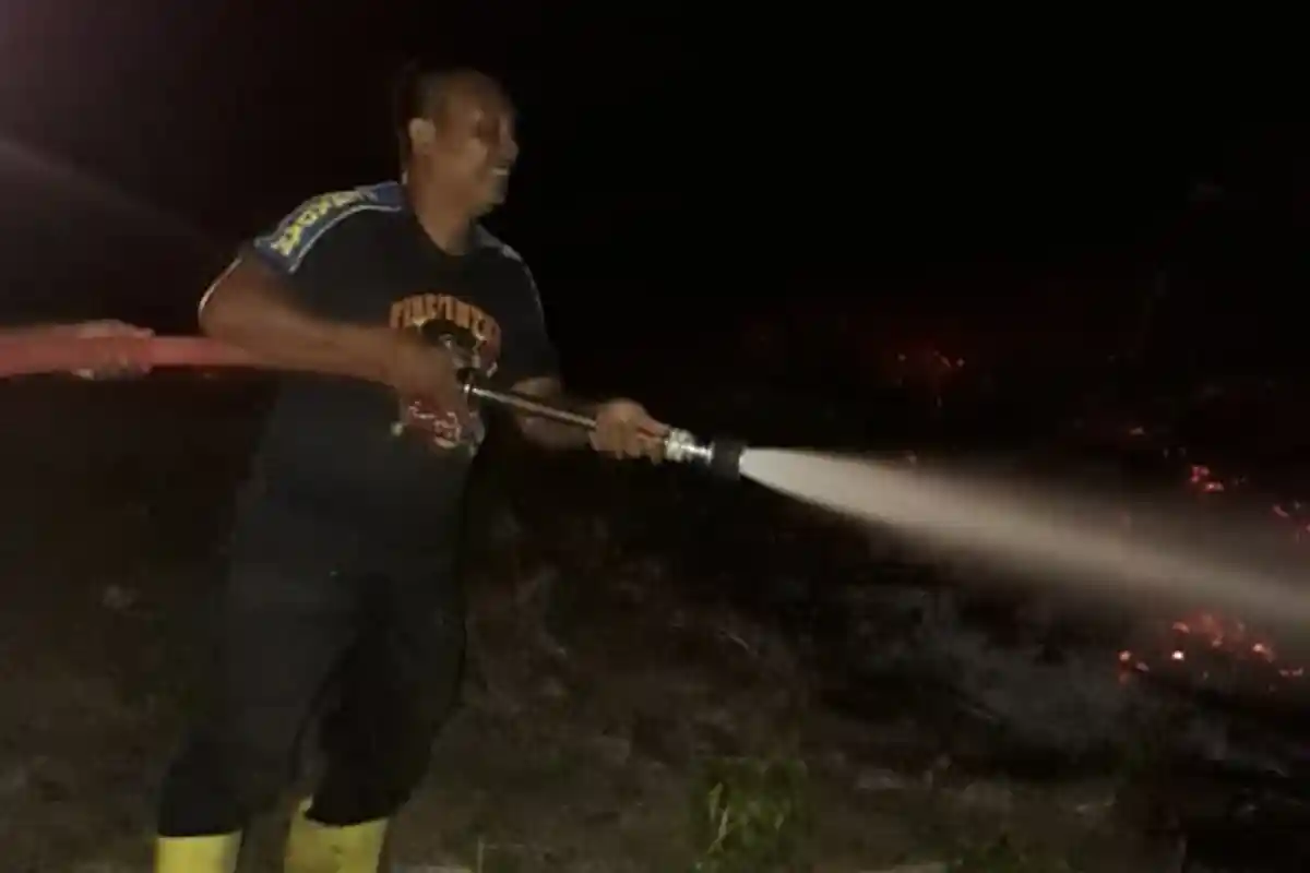 2 Ha Lahan Perkebunan di Pijay Terbakar, Ini Penyebabnya