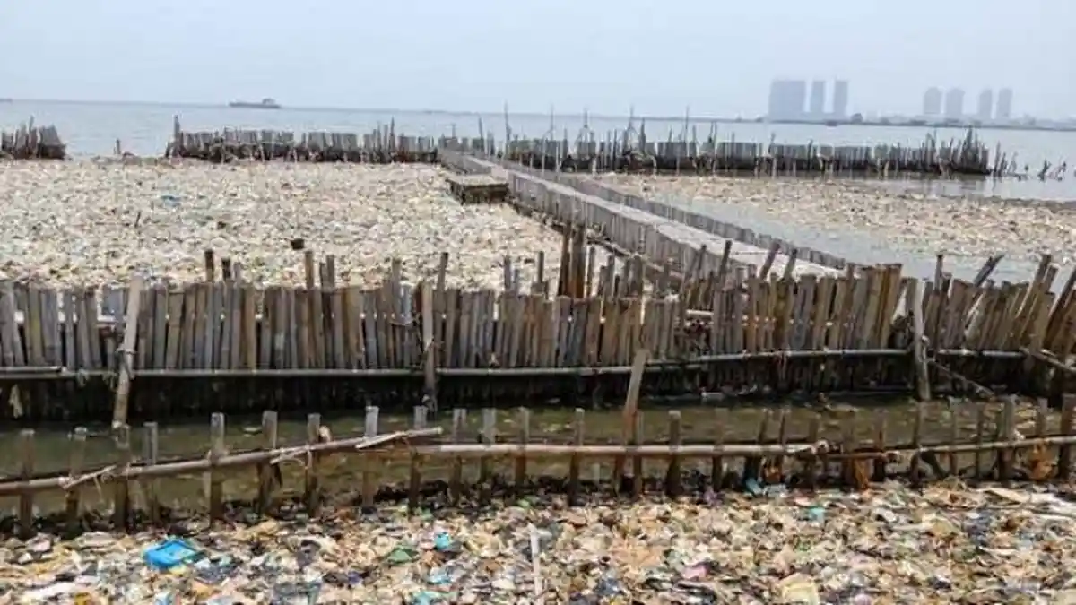 Pagar-pagar Bambu di Pesisir Muara Angke Tak Sanggup Lagi Hadang Serbuan Sampah Laut
