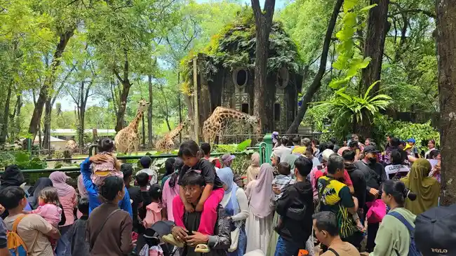 Banyak Komplain Wisatawan, Pengelola Ragunan: Yang Ingin Merokok, Tolong Tahan Dulu!