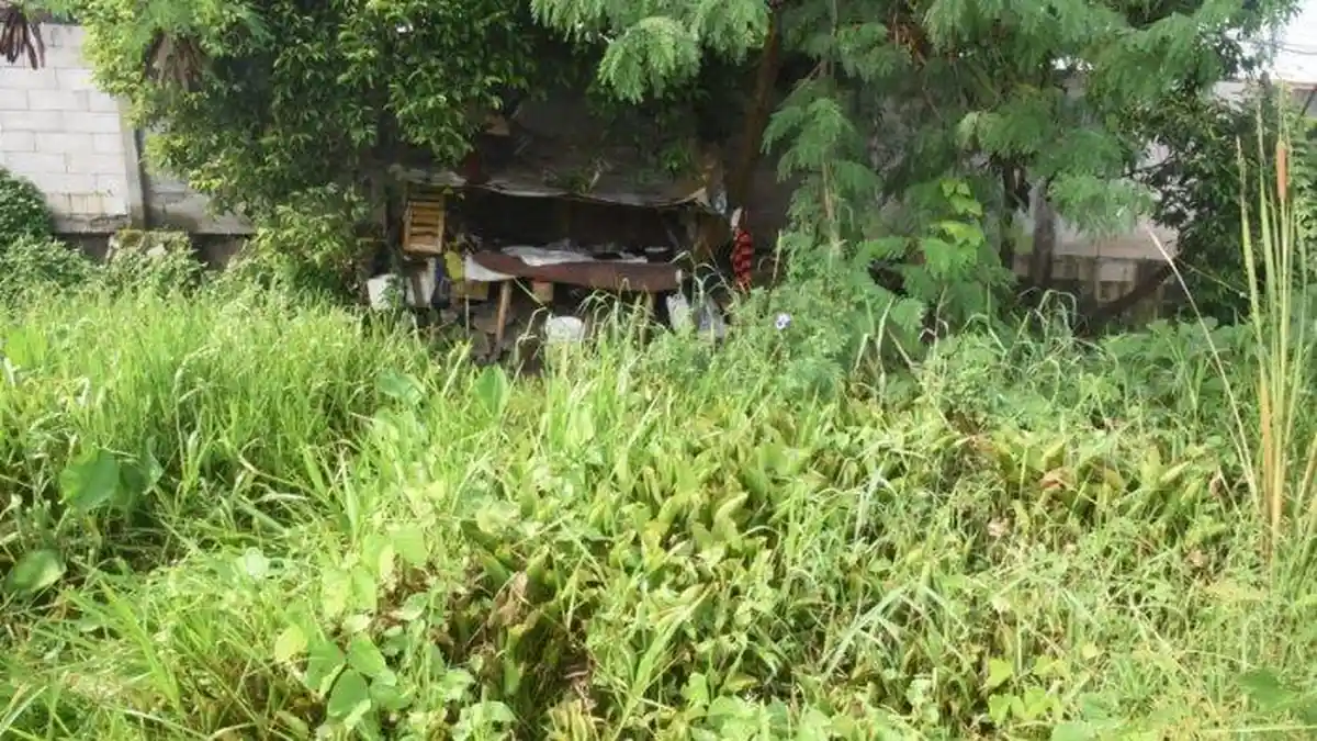 Misteri Bocah Hilang saat Main di Semak-semak, Jacky Chan Ikut Mencari, Sudah Seminggu Belum Ketemu