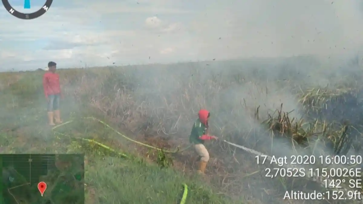 Tangani Kebakaran Lahan Rawa, Camat Daha Barat Bentuk Tim Penjaga Api