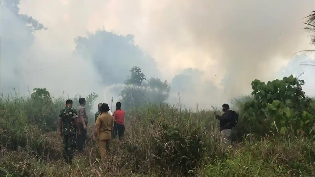 BREAKING NEWS Lahan di Sekitar Kantor Bupati Muarojambi Terbakar sejak Minggu Sore
