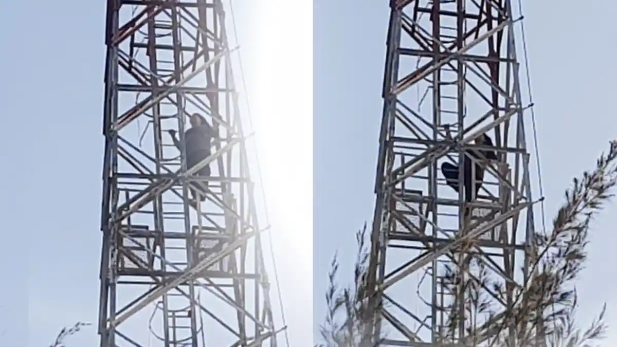 HEBOH Wanita Nekat Manjat Tower Mau Bunuh Diri di Tanjung Pinggir Batam, Ternyata Ini Pemicunya
