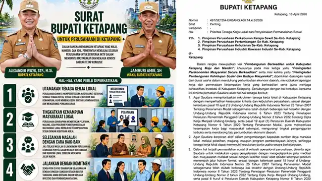 Tribun