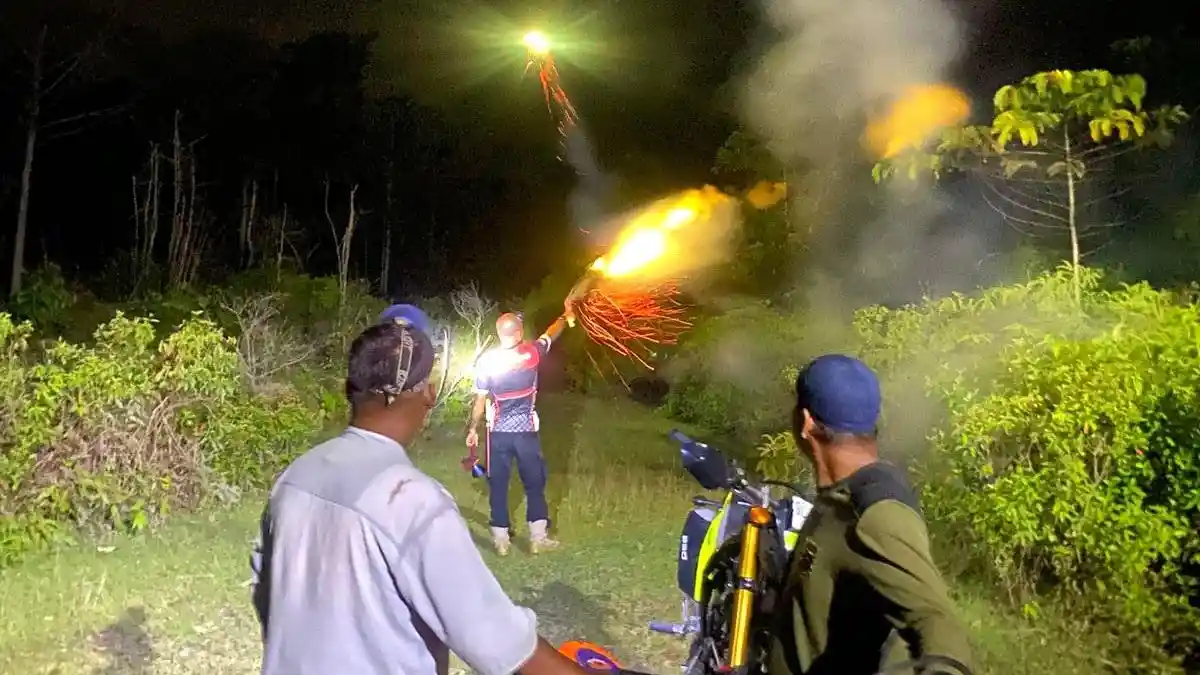 Dentuman Mercon Iringi Pengusiran Gajah Liar di Lango Aceh Barat, Warga Diminta Tetap Waspada