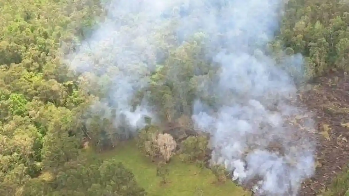 Karhutla Membara: 36 Ha Lahan di Batang Hari Jambi pada Juni, 14 Ha Hangus 2 Hari di OKI Sumsel - Tribunjambi.com