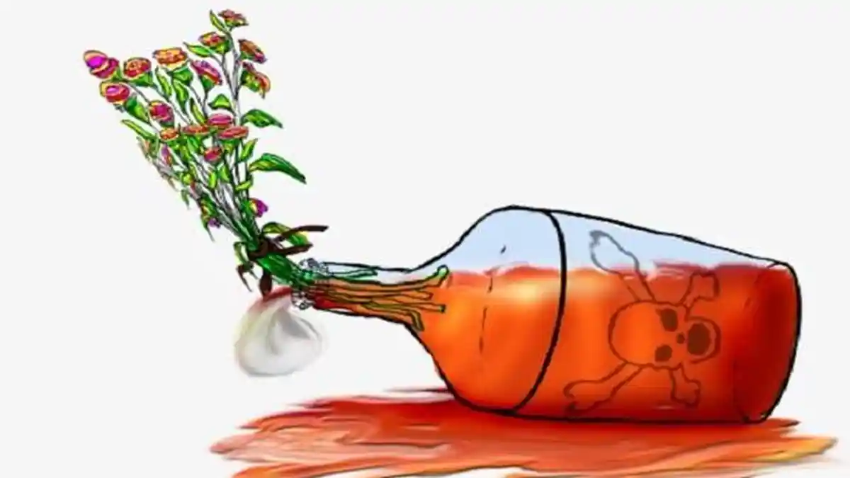 Diduga Mabuk Miras, Pria di Flores Timur Tewas Usai Tabrak Deker