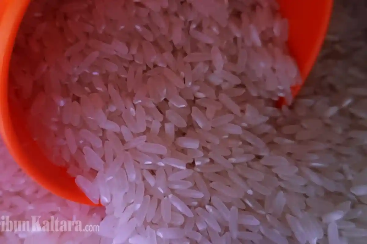 Jangan Sampai Telat, Ketahui Waktu Tepat Membayar Zakat Fitrah di Bulan Ramadhan