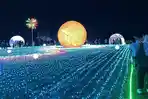Festival-lampu-purwokerto.jpg
