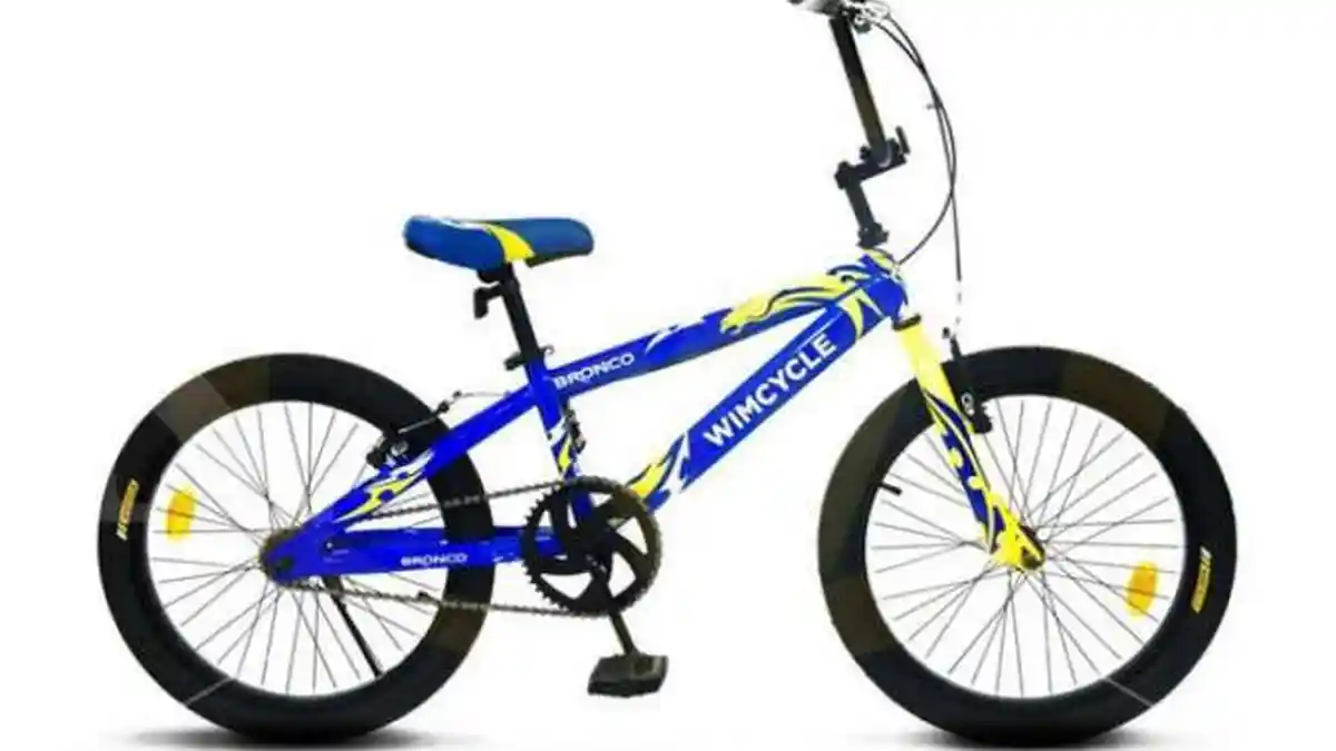 Murahnya Bukan Main! Intip Harga Sepeda Wimcycle untuk Anak Lengkap Di Sini