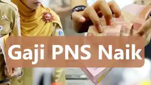 Update-gaji-PNS-naik-tapi-tukin-PNS-berubah-berikut-rinciannya-kenaikan-16-Agustus-2023.jpg